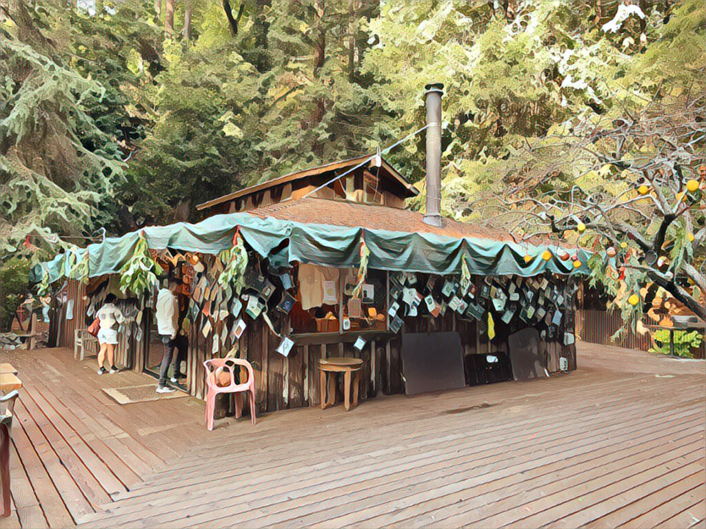 The exterior of the Henry Miller Library